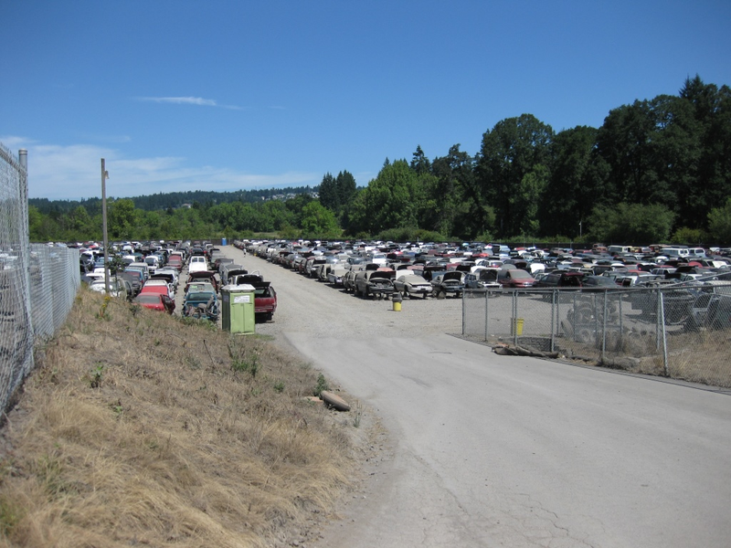 Illustration for article titled Went to a car graveyard today